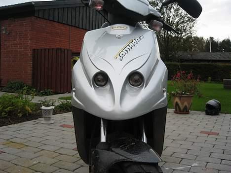 PGO tornado SOLGT billede 7