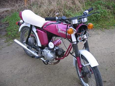 Yamaha fs14g dx Renovering 10% billede 16