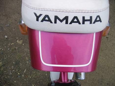 Yamaha fs14g dx Renovering 10% billede 19