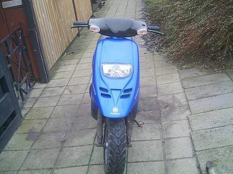 Piaggio typhoon (solgt) billede 1