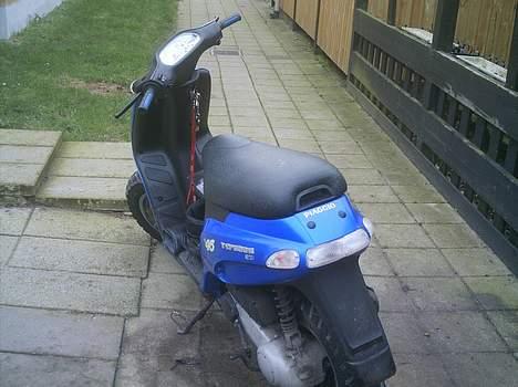 Piaggio typhoon (solgt) billede 7