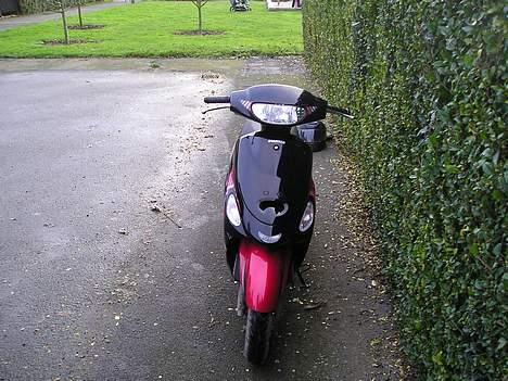 Giantco Sprint Sport billede 2