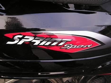 Giantco Sprint Sport billede 7