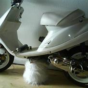 Yamaha Jog Fs | Aerox DD