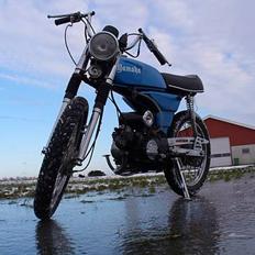 Yamaha fs-1 4g (SOLGT)