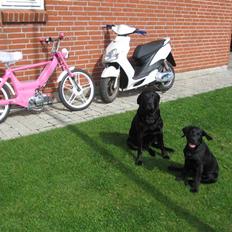 Puch maxi "Pink Lady" SOLGT