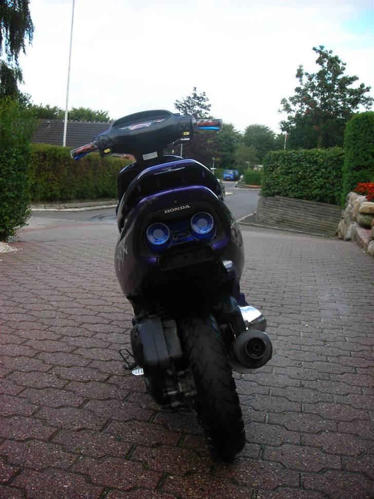 Honda SFX Solgt billede 9