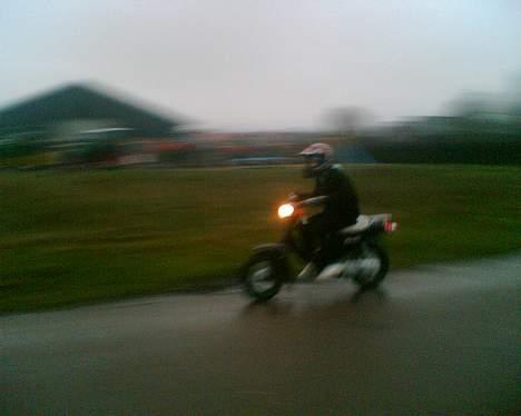 Suzuki fz50 billede 9