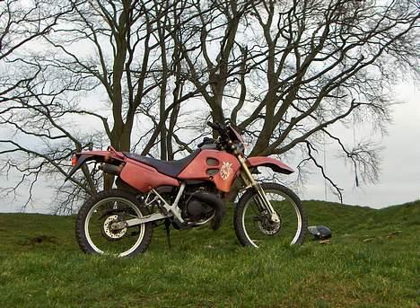 Suzuki rmx billede 4