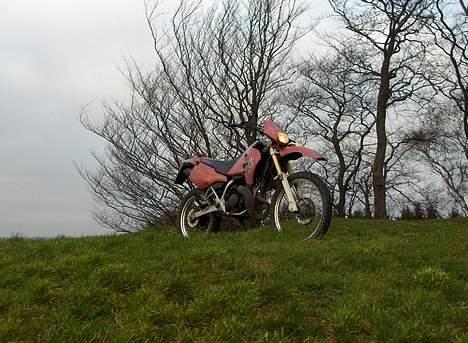 Suzuki rmx billede 8