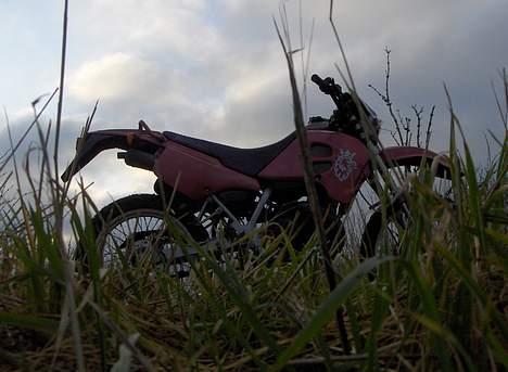 Suzuki rmx billede 10