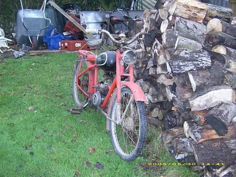 Veteraner witler  billede 3