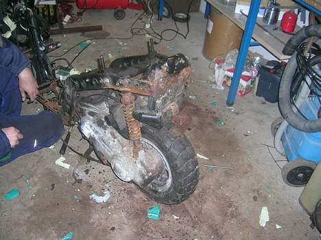 Piaggio Typhoon skrottet! billede 6