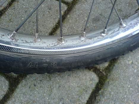 Puch Maxi KL billede 3