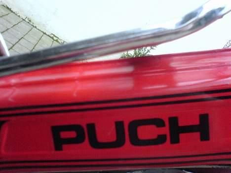 Puch Maxi KL billede 6