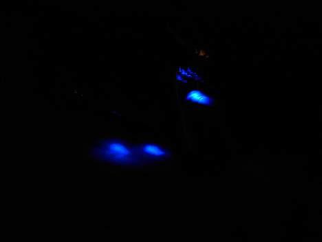 Yamaha slider(SOLGT) billede 9