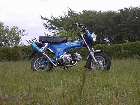 Skyteam dax solgt - ja vi har ikk li fået slået græsset billede 1