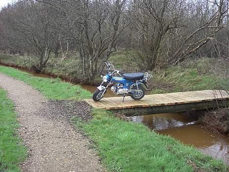 Skyteam dax solgt billede 7