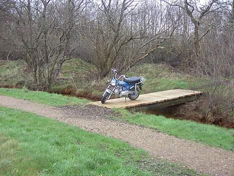 Skyteam dax solgt billede 8