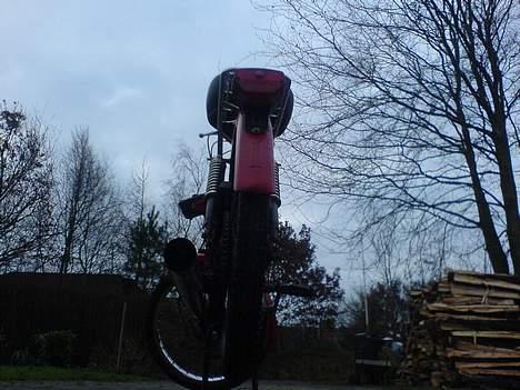 Puch Maxi KL billede 10