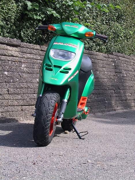 Piaggio typhoon solgt billede 3