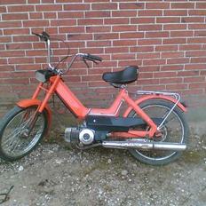 Puch den orance bisse