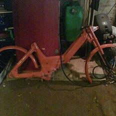 Puch den orance bisse