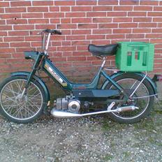 Puch den grønne bisse