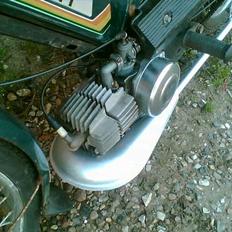 Puch den grønne bisse