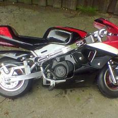 MiniBike de bette racere