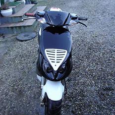 Piaggio Nrg Mc3 Byttet Til Rmx