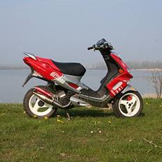 Peugeot Speedfight 2 RallyVictory