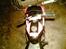 MiniBike de bette racere