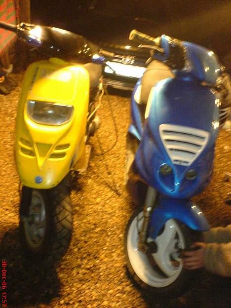 Piaggio Typhoon // BYTTET // - NYT* de ser godt ud. Nrg forfælg vasket og pudset billede 17