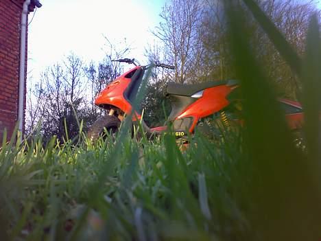 Piaggio Nrg Sport byttet til bws billede 8