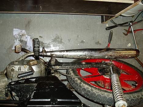 Puch monza juvel - den lille udstønigen billede 5