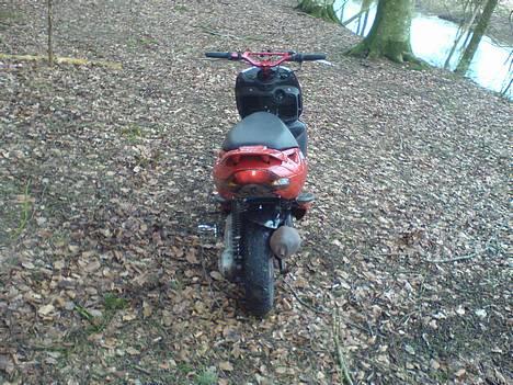 Aprilia sonic GP byttet til ssm billede 4