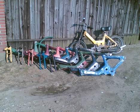 Puch den blå bisse billede 6