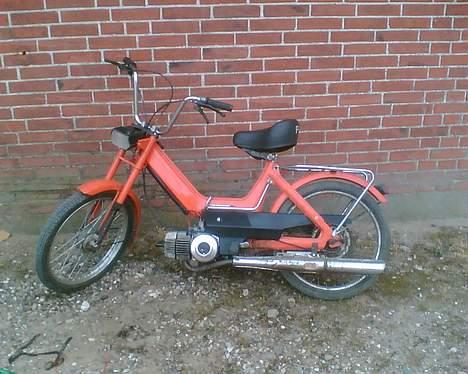 Puch den orance bisse billede 1