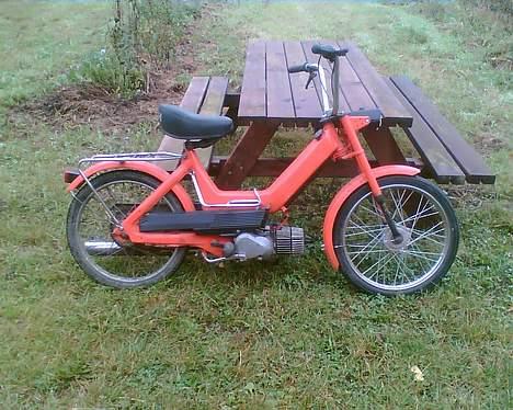 Puch den orance bisse billede 2