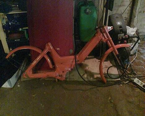 Puch den orance bisse billede 3