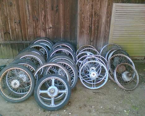 Puch den orance bisse billede 4