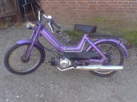 Puch den lilla bisse billede 1