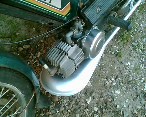 Puch den grønne bisse billede 2