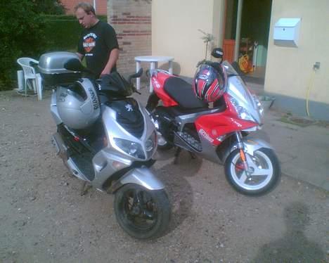 Puch den grønne bisse - min store brors scotterer den til højer er sprit ny fed nok billede 4