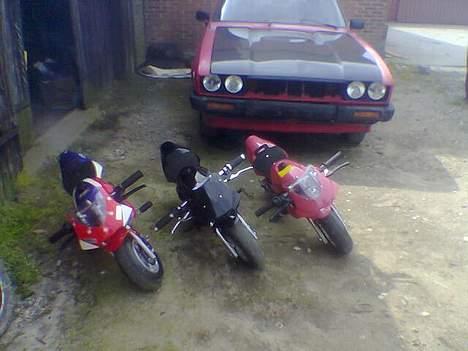 MiniBike de bette racere billede 6