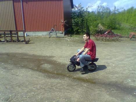 MiniBike de bette racere billede 7