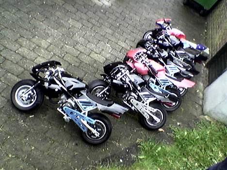 MiniBike de bette racere billede 9