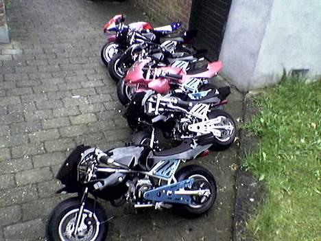 MiniBike de bette racere billede 11