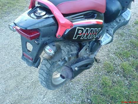 PGO Pmx sport billede 5